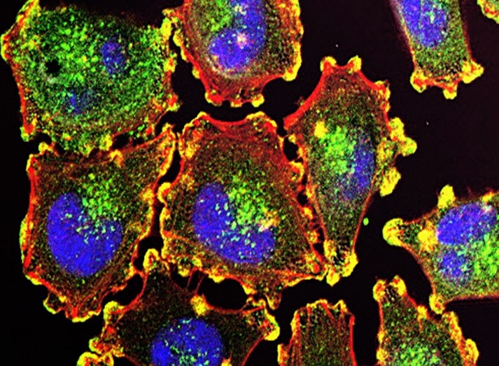 Medical research equipment